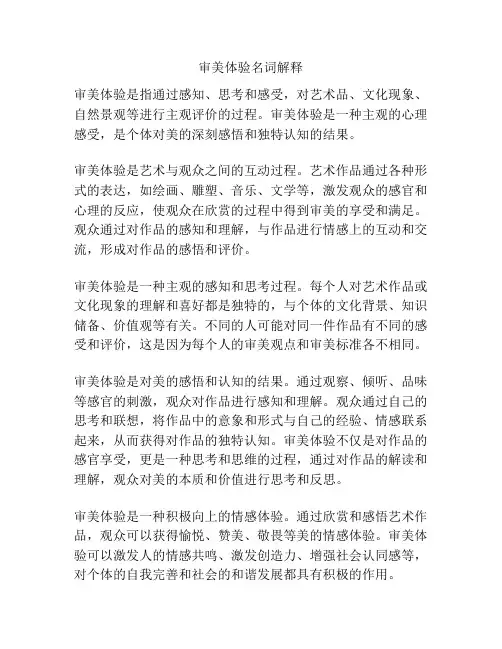 审美体验名词解释