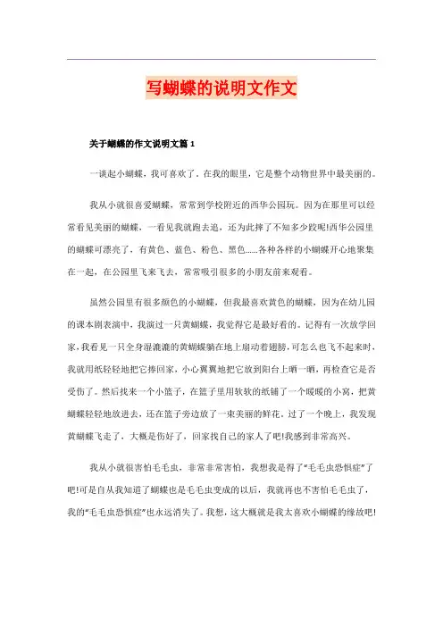 写蝴蝶的说明文作文
