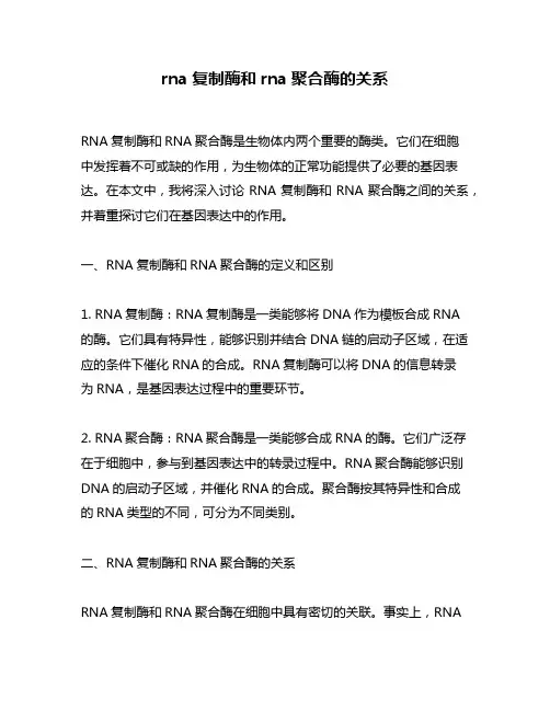 rna复制酶和rna聚合酶的关系