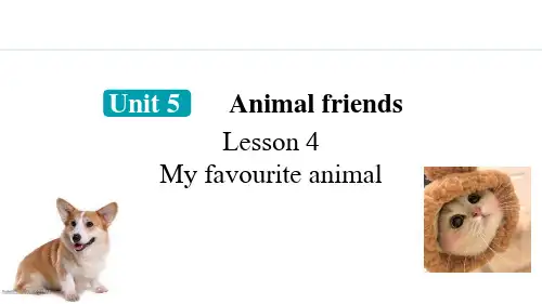 《My favourite animal》Aminal friends PPT课件