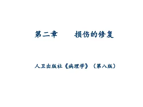 病理学--第二章--损伤的修复PPT课件