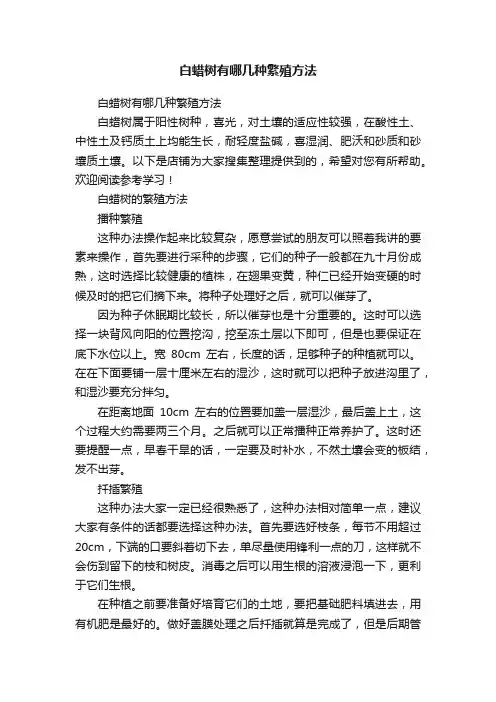 白蜡树有哪几种繁殖方法