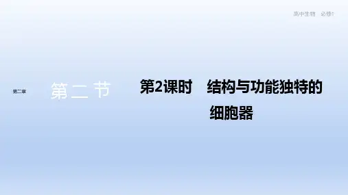 新教材-高中生物学-配套江苏版教材-必修1第二章- 第二节 课时2
