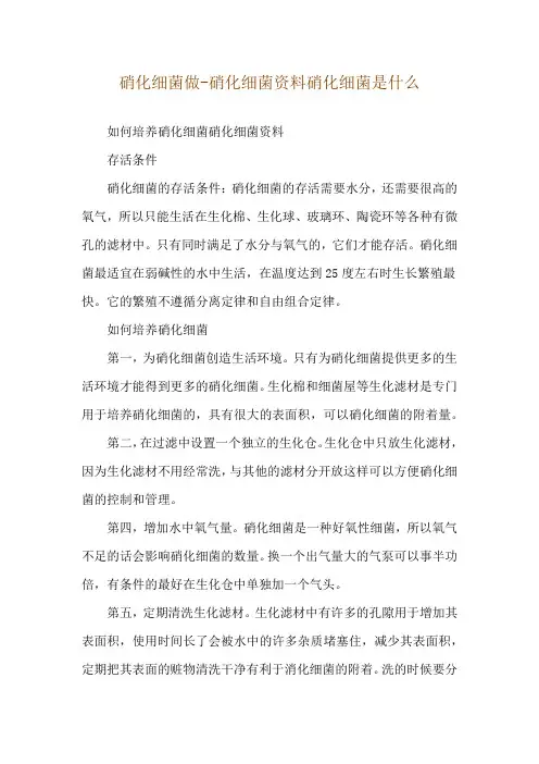 硝化细菌做-硝化细菌资料硝化细菌是什么