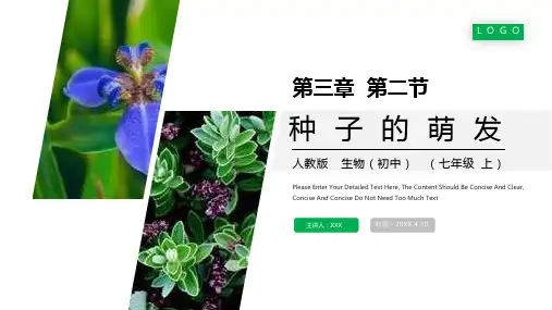 《种子的萌发》人教版七年级初一生物上册PPT课件