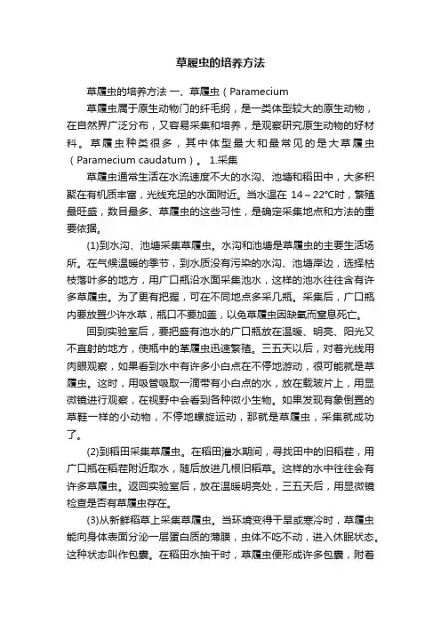 草履虫的培养方法