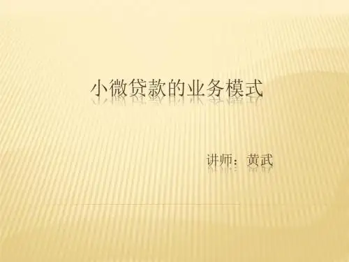 小微贷业务模式介绍