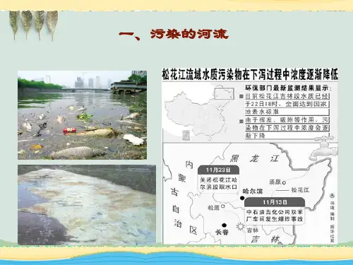 城市的环境问题与环境优化课件