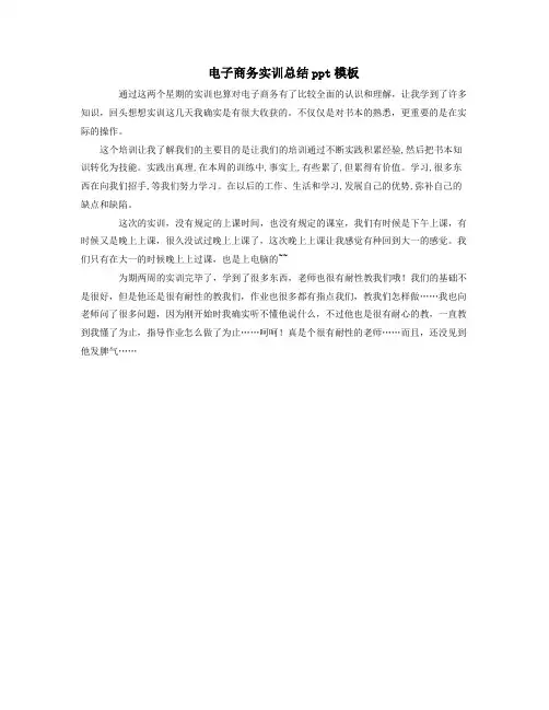 电子商务实训总结ppt模板