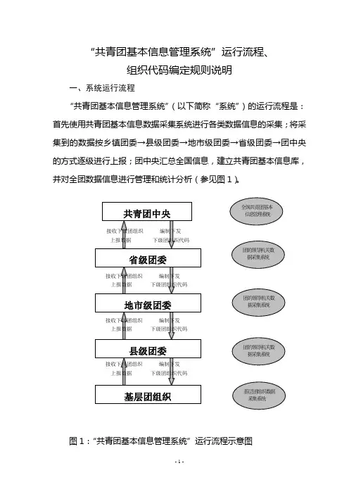 “共青团基本信息管理系统”运行流程、组织代码编定规则说明(杜东恩)