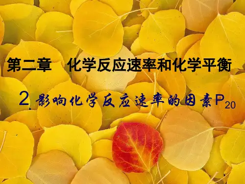 影响化学反应速率的因素