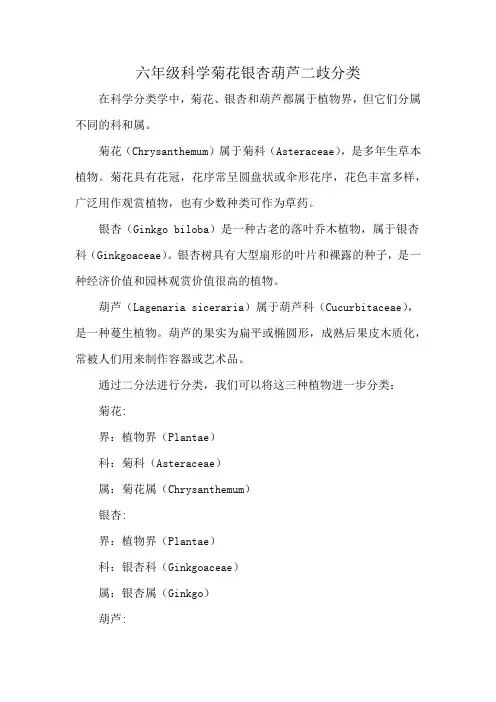 六年级科学菊花银杏葫芦二歧分类