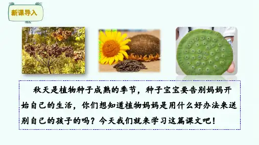 人教版语文二年级上册植物妈妈有办法(2课时)
