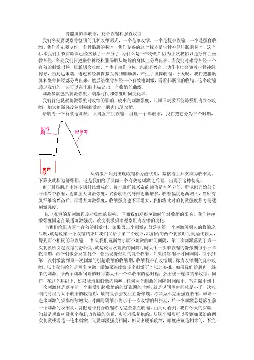 3-骨骼肌单收缩