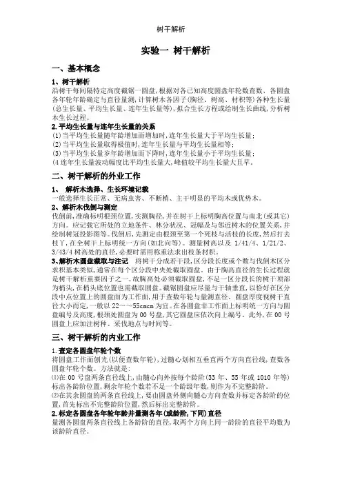 树干解析