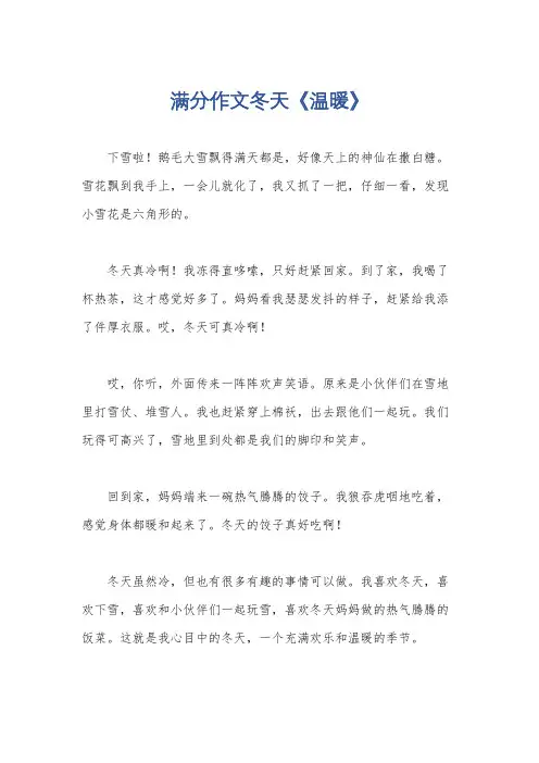 满分作文冬天《温暖》