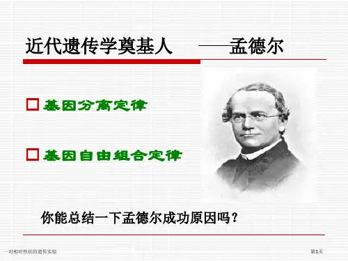一对相对性状的遗传实验