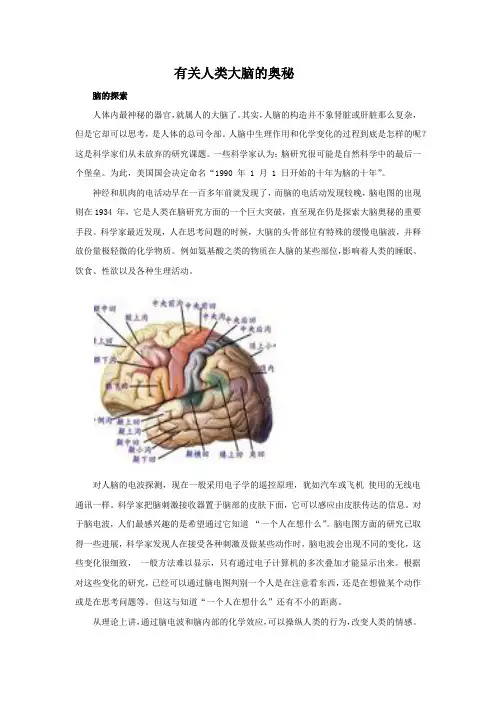 人类大脑的奥秘