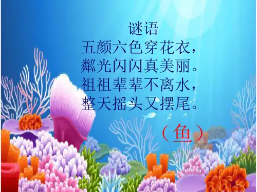 《谁画的鱼最大》 学科信息：美术-人美版-一年级上-美术人美一年级上册