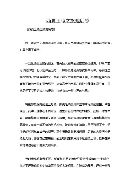 西夏王陵之旅观后感