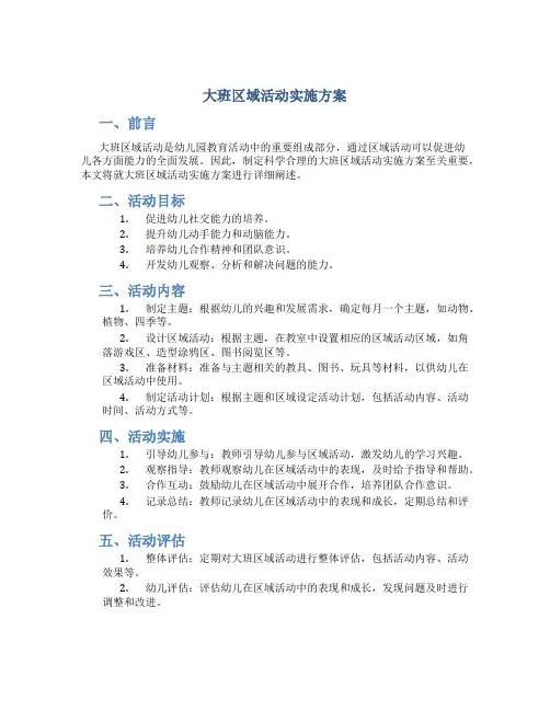 大班区域活动实施方案