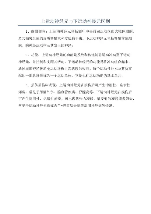 上运动神经元与下运动神经元区别