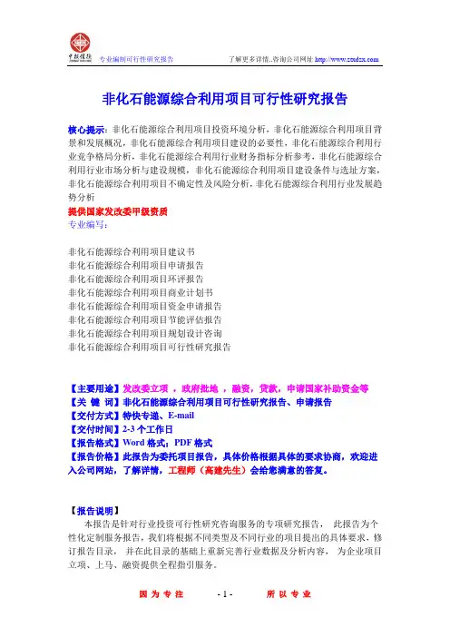非化石能源综合利用项目可行性研究报告