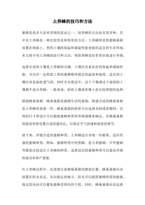 土养蜂的技巧和方法