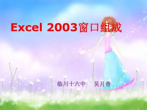 江西科教版八年级上册信息技术《Excel 2003窗口组成》PPT课件