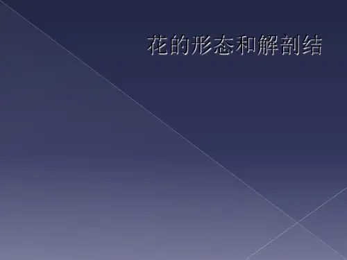 花的形态和解剖结
