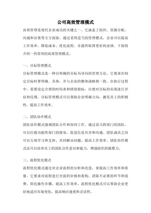 公司高效管理模式