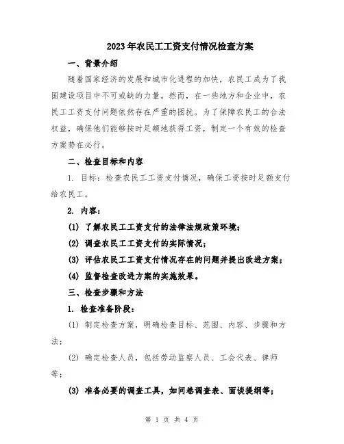 2023年农民工工资支付情况检查方案