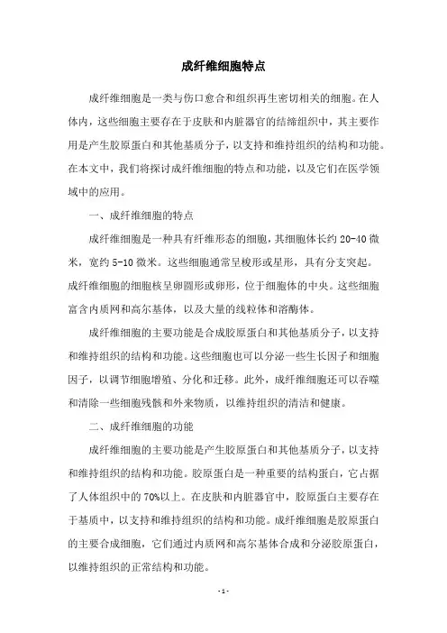 成纤维细胞特点
