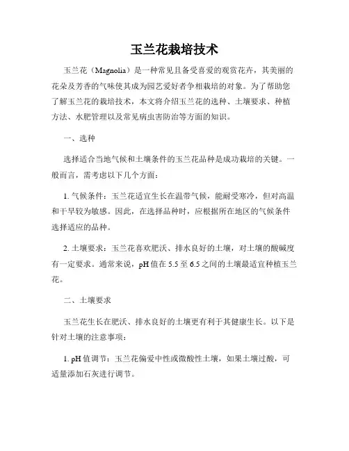 玉兰花栽培技术