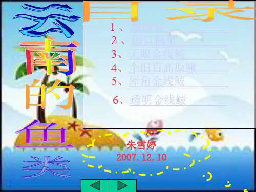 云南的鱼类