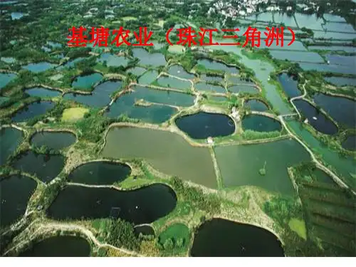 我国三种立体农业模式