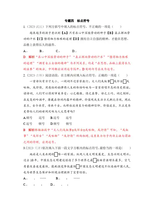 2024初中升学考试语文总复习专题四标点符号专题特训