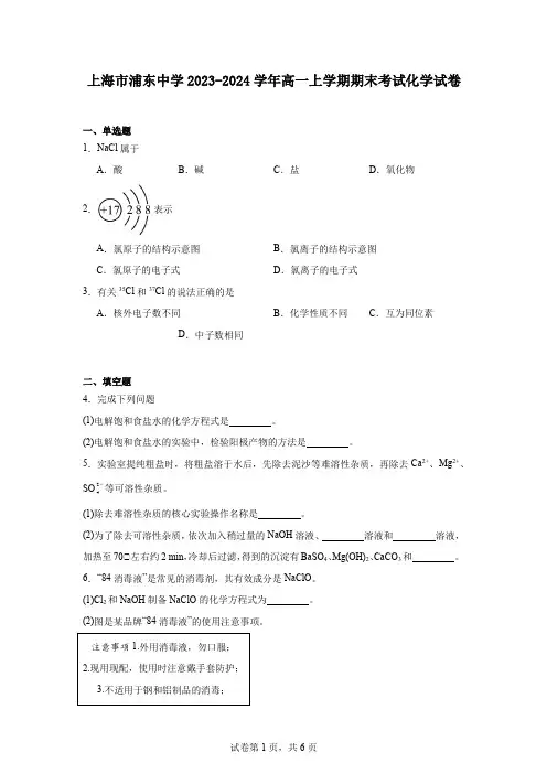 上海市浦东中学2023-2024学年高一上学期期末考试化学试卷