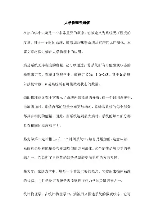 大学物理专题熵
