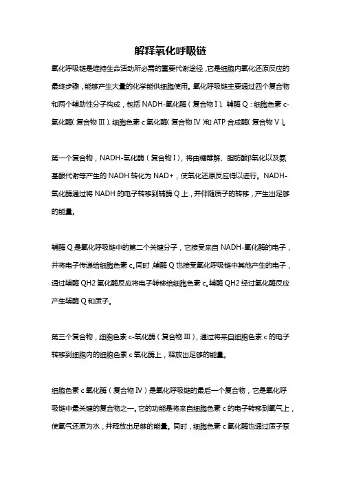 解释氧化呼吸链