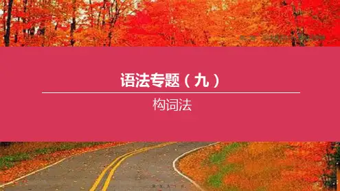 中考英语复习方案第二篇语法专题突破专题09构词法