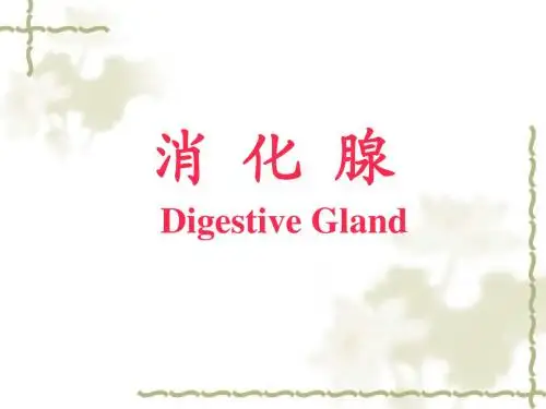 第15章 消化腺