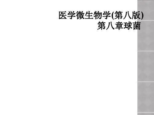 医学微生物学(第八版)第八章球菌