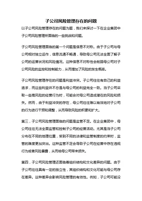 子公司风险管理存在的问题