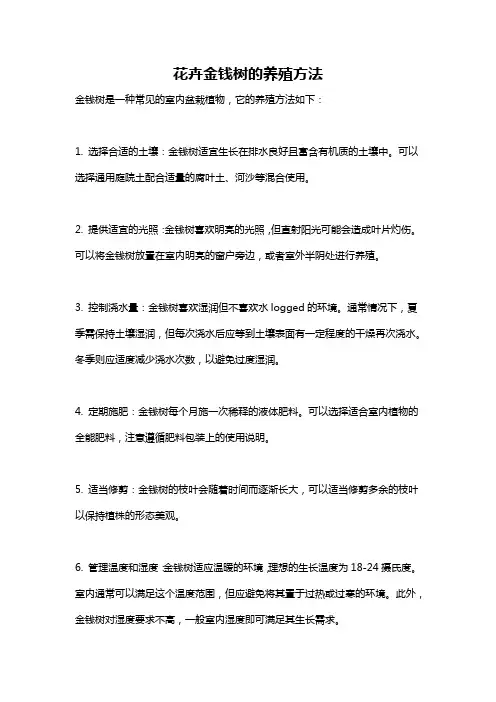 花卉金钱树的养殖方法