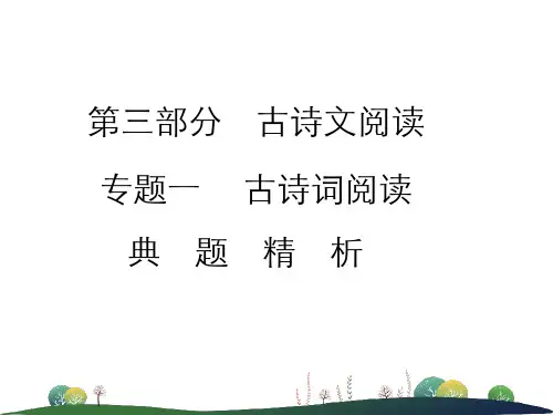 中考语文课外古诗词阅读典题精析及中考真题精选课件