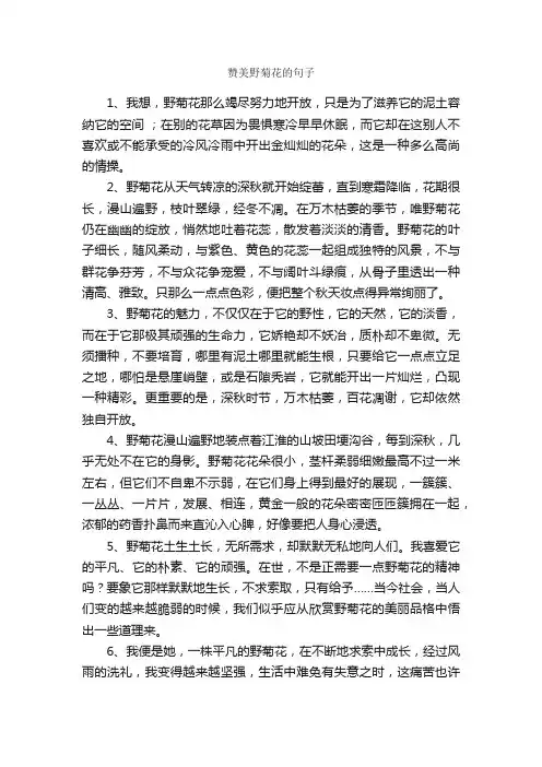 赞美野菊花的句子_唯美的句子
