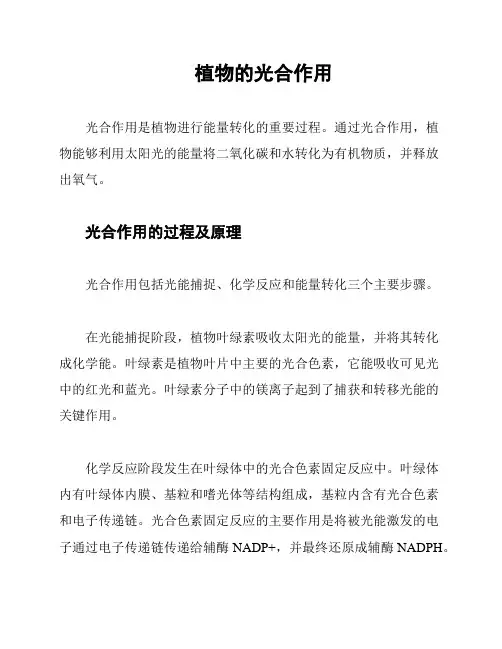 植物的光合作用