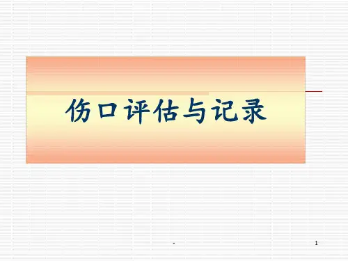 伤口评估与记录 ppt课件