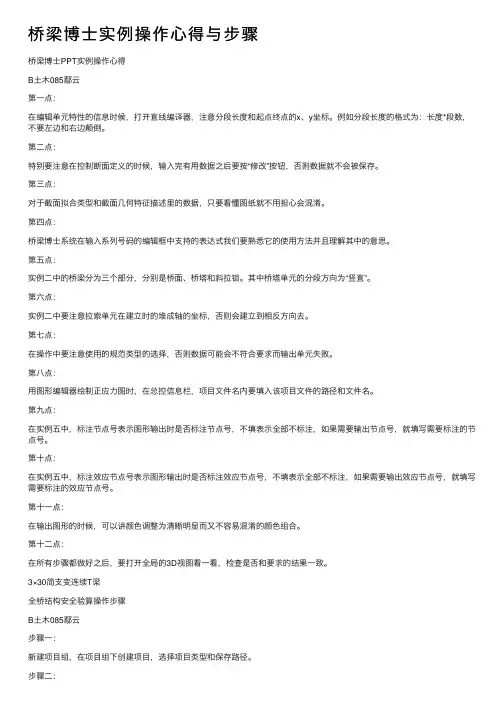 桥梁博士实例操作心得与步骤